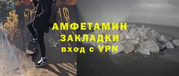 прущие грибы Волоколамск
