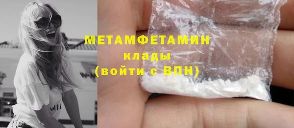 прущие грибы Волоколамск