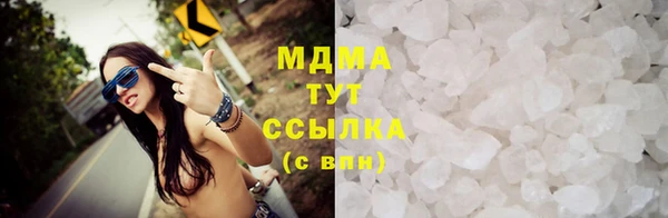 прущие грибы Волоколамск