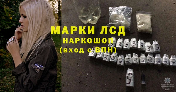 прущие грибы Волоколамск