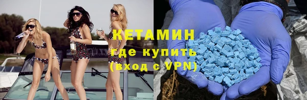 прущие грибы Волоколамск