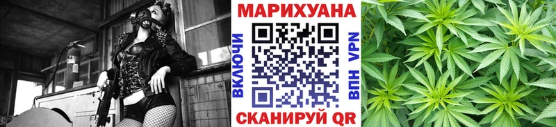 Шишки марихуана сатива  Купить где  Новомичуринск 